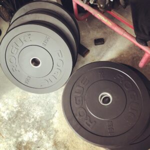 Rogue Echo Bumper Plates