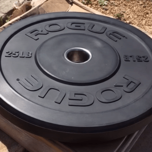 Rogue Echo Bumper Plates