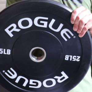 Rogue Echo Bumper Plates