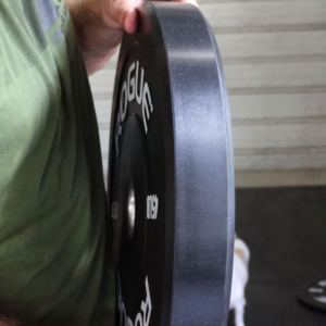 Rogue Echo Bumper Plates