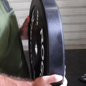 Rogue Echo Bumper Plates