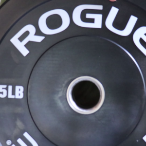 Rogue Echo Bumper Plates