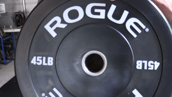 Rogue Echo Bumper Plates