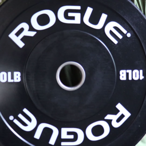 Rogue Echo Bumper Plates