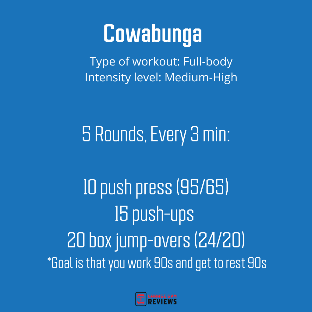 The details of a workout named "Cowabunga"