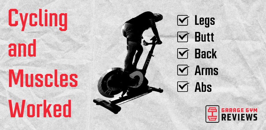cycling muscle groups