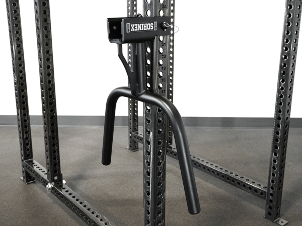 Rogue dip bar deals