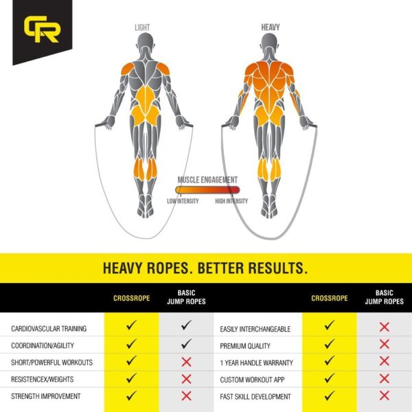 Bowflex hvt custom 2025 workouts