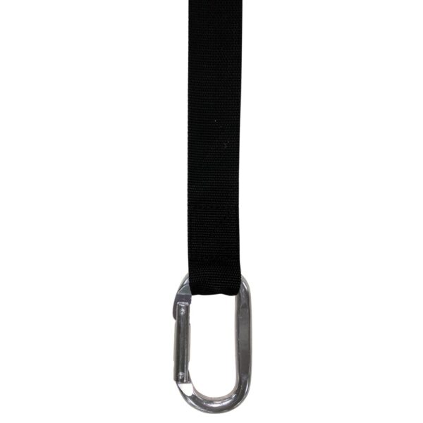 Titan fitness wrist roller cheap