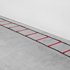 Powermax 15' Agility Ladder