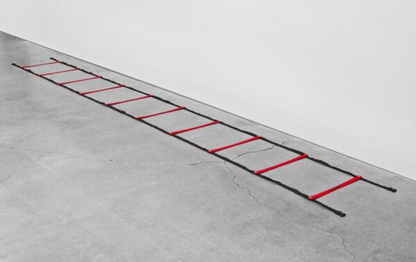 Powermax 15' Agility Ladder