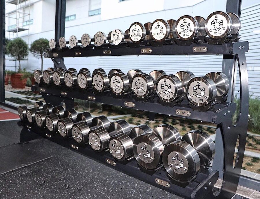 Watson Rotating Dumbbells