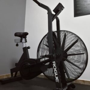 Rogue Echo Bike