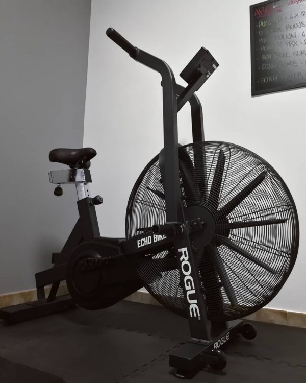 Rogue Echo Bike