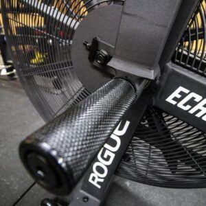 Rogue Echo Bike