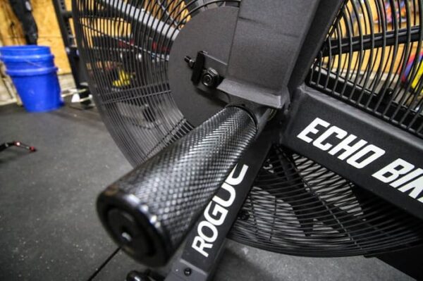 Rogue echo bike used for 2025 sale