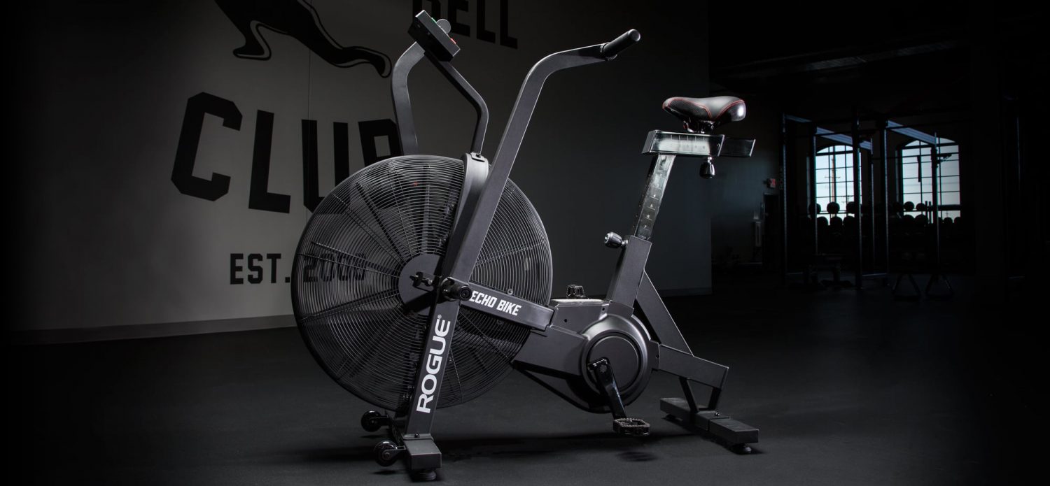 Rogue Echo Air Bike Released Cover Image