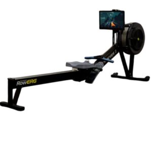 rogue echo air bike