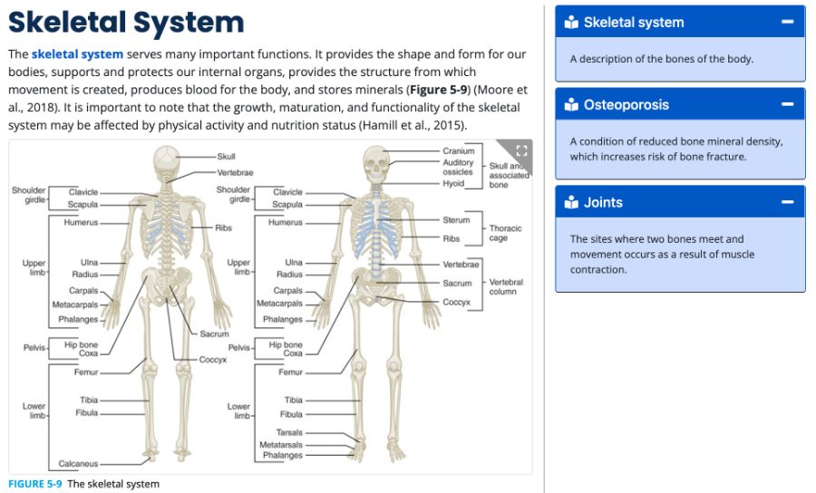Sample section from the NASM online module
