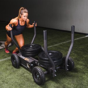 Torque Fitness TANK M2