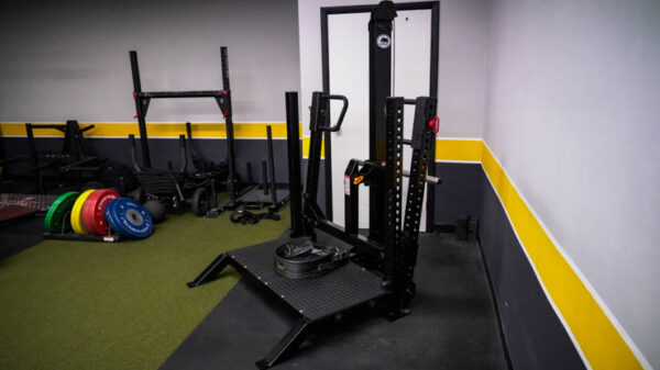 Rogue squat discount belt
