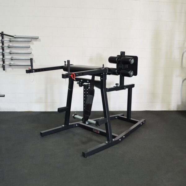 Titan fitness reverse hyper online
