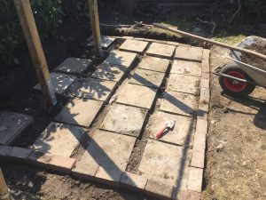 Backyard weightlifting online