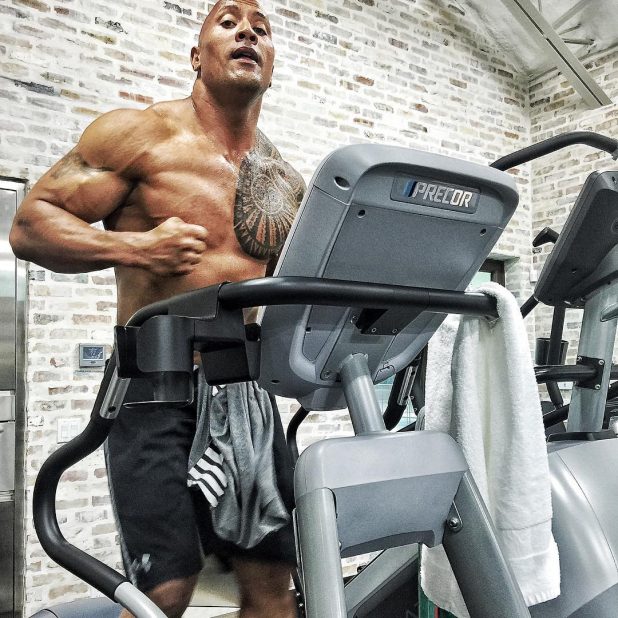 dwayne johnson gym