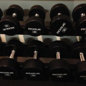 Rogue Urethane Dumbbells