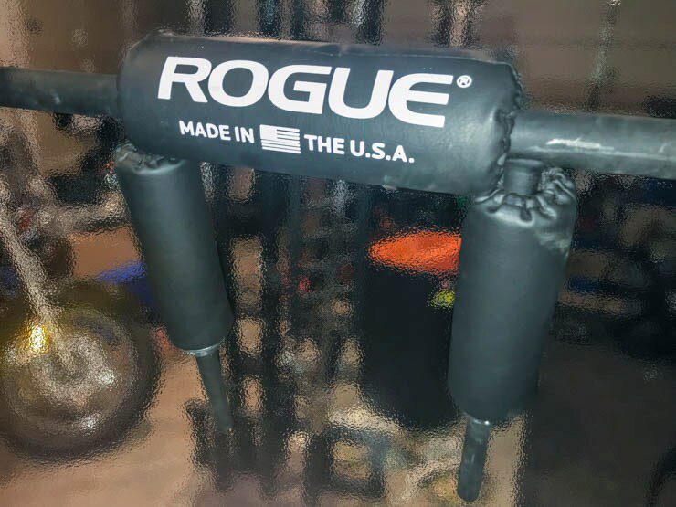 Rogue SB 1 Safety Squat Bar Review 2024 Garage Gym Reviews