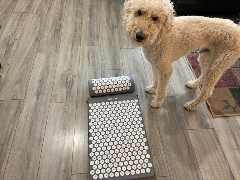 The 7 Best Acupressure Mats (2025): De-Stress With These Beds of Spikes 