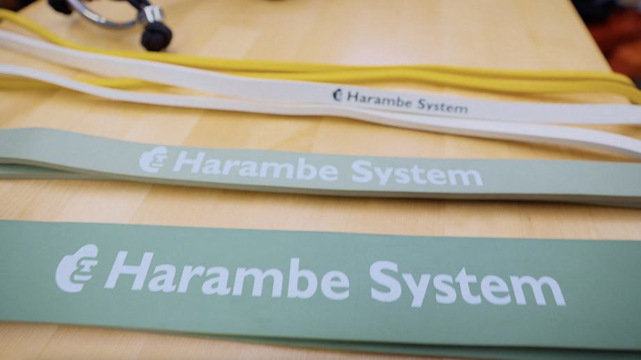 Harambe System