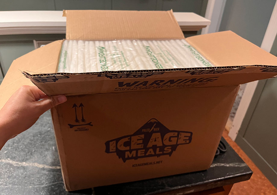 ice-age-meals-delivery-box