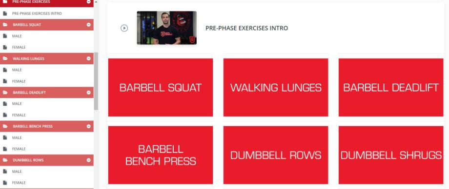 Screenshot shows a selection of pre-phase exercises in the MAPS Anabolic system.