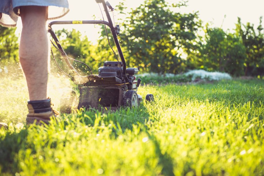 mowing the lawn