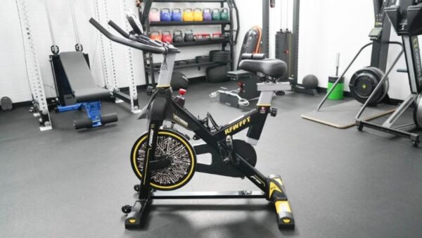 pooboo pro indoor cycling bike