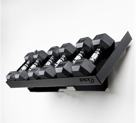 An image of PRx wall mount dumbbell storage