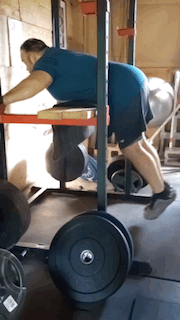 Man doing reverse hyper exercise in the squat rack