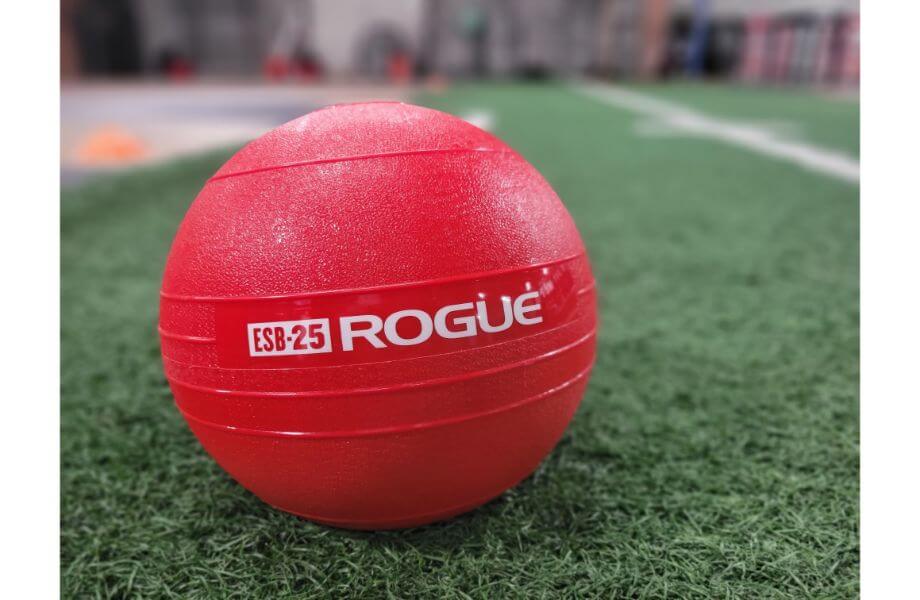 rogue echo ball red