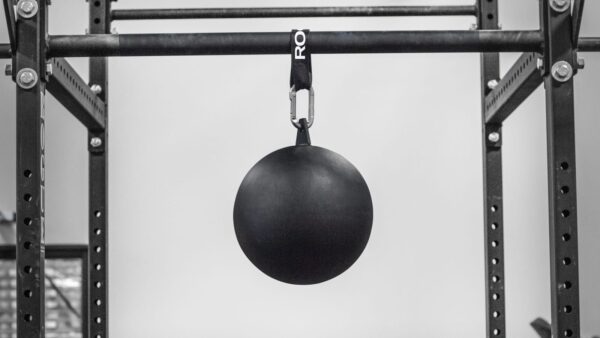 Rogue 12-Inch Pull-up Globe