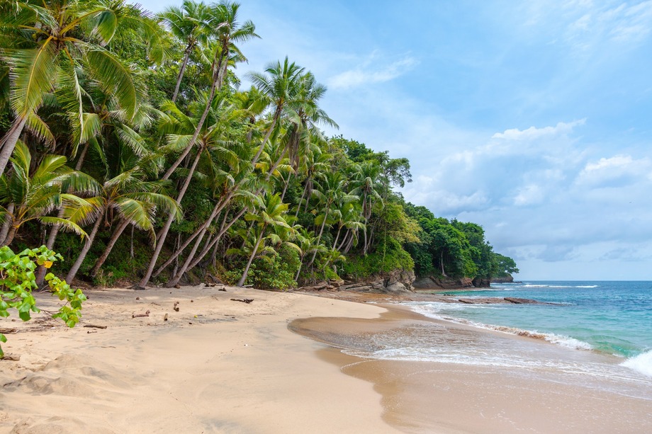 picture of beach showing wet and dry snad