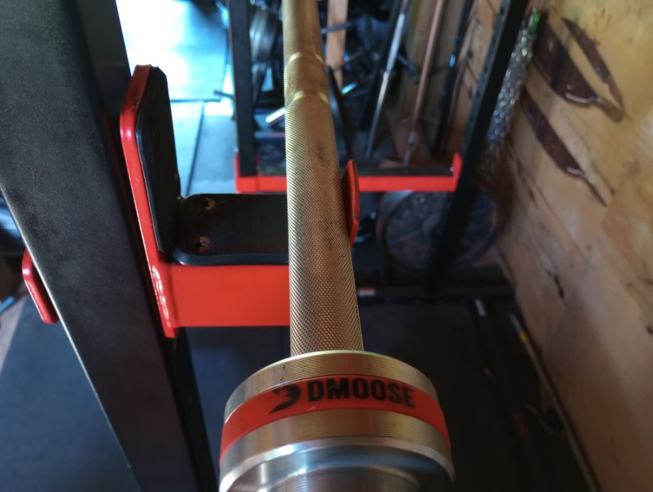 DMoose Fitness Review: Is Their Workout Equipment Built to Last? - Gymless