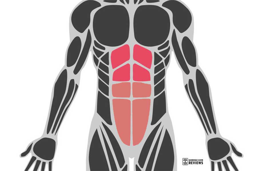 illustration showing the abs with the upper abs highlighted