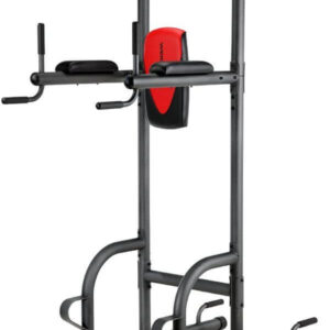 weider power tower