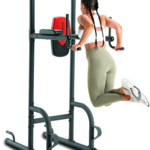 weider power tower tricep dip