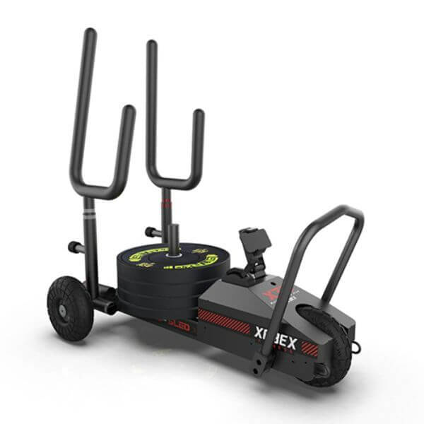 XT3 Plus Sled - Schlitten mit Rollen für jeden Untergrund - cross