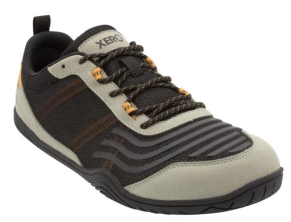 Xero 360 Shoes in brown/black